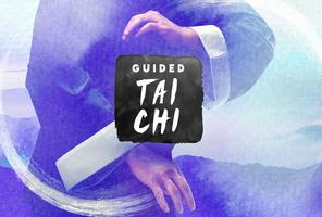 Guided Tai Chi