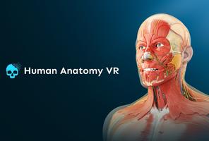 Human Anatomy VR