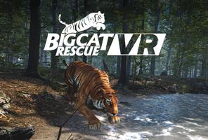 Big Cat Rescue